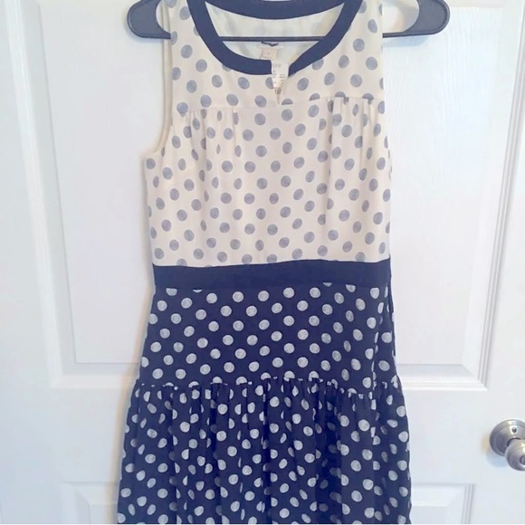 J.Crew Polka Dot Dress - Picture 1 of 7
